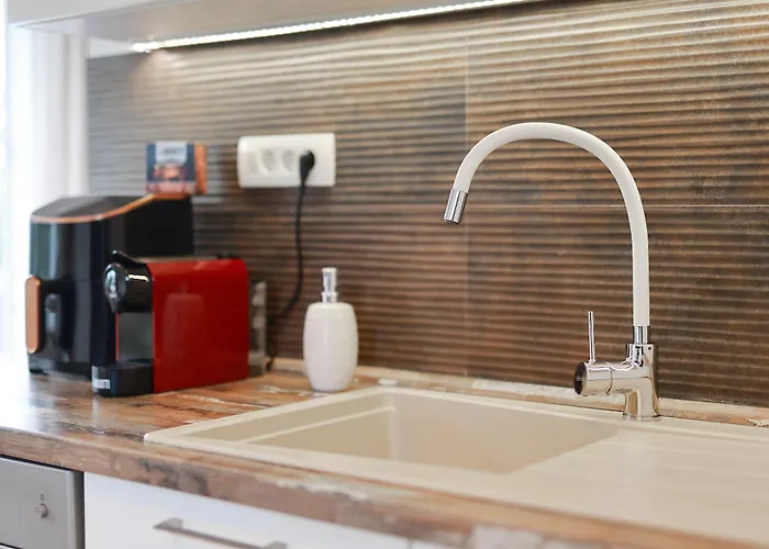 아파트 Amelie 오파티아